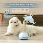 Smart cat toys