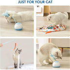 Smart cat toys